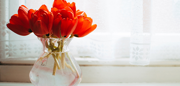 Changez l'eau de vos bouquets tous les 2 jours pour les faire durer plus longtemps