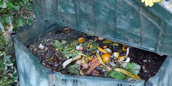 Composter, c'est recycler les déchets verts du jardin et de la maison en les amassant pour qu'ils se décomposent. 