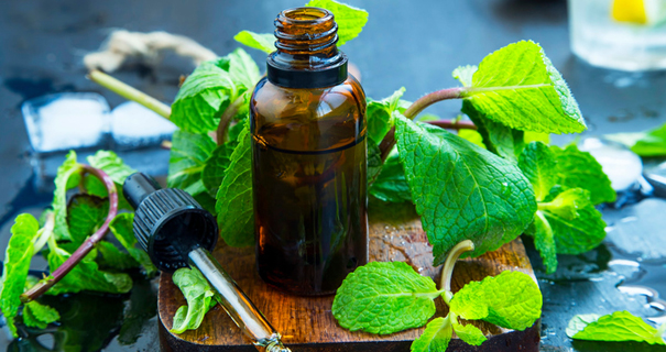 Un massage à l'huile essentielle de menthe poivrée peut soulager votre dos.
