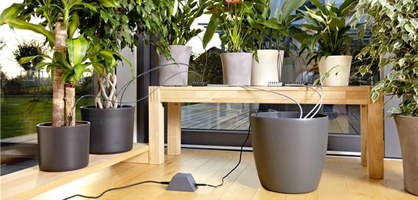 Comment bien arroser des plantes d'intérieur ?