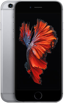 iPhone 6