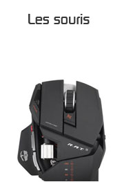 les souris